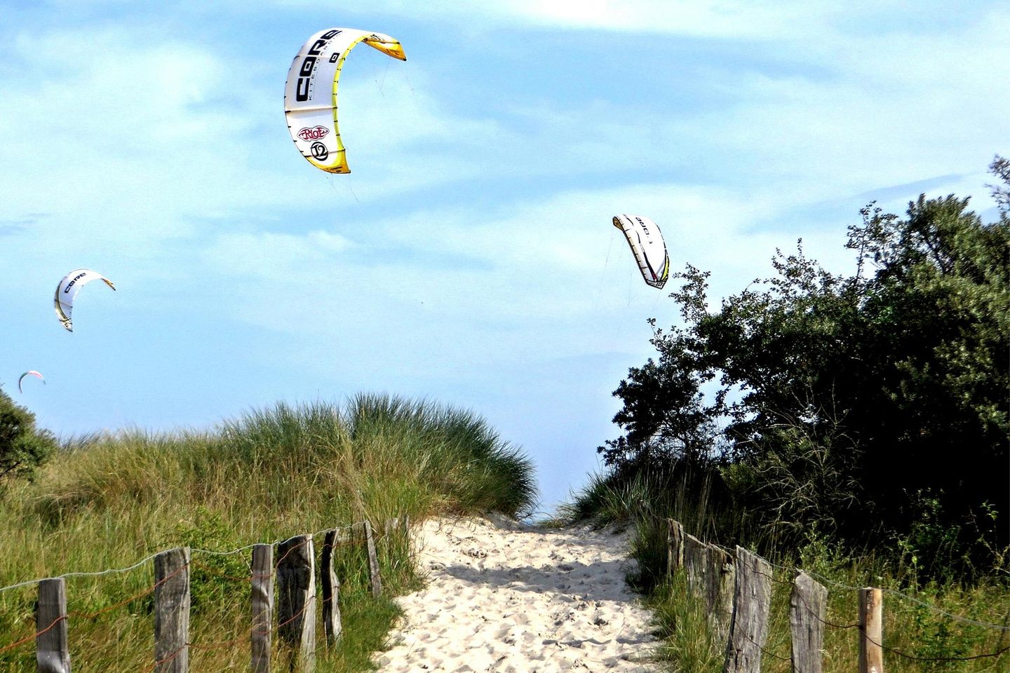 Walk along the dune path near Großenbrode